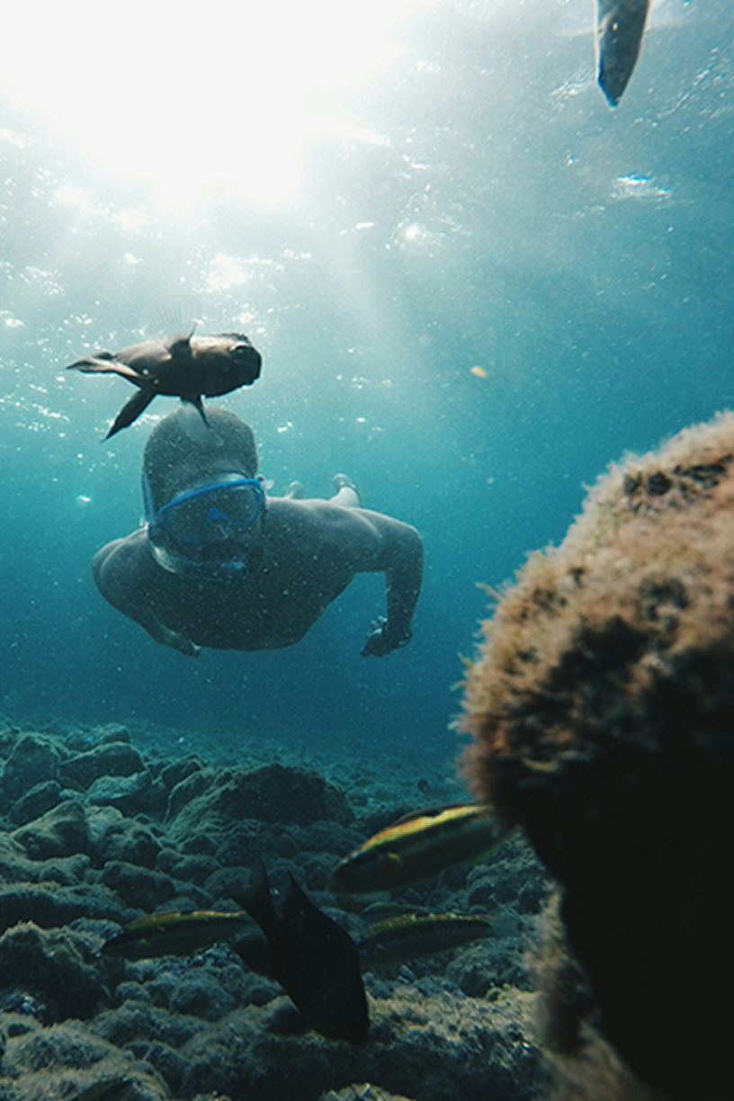 Buceo cerca de Tamaragua Residences